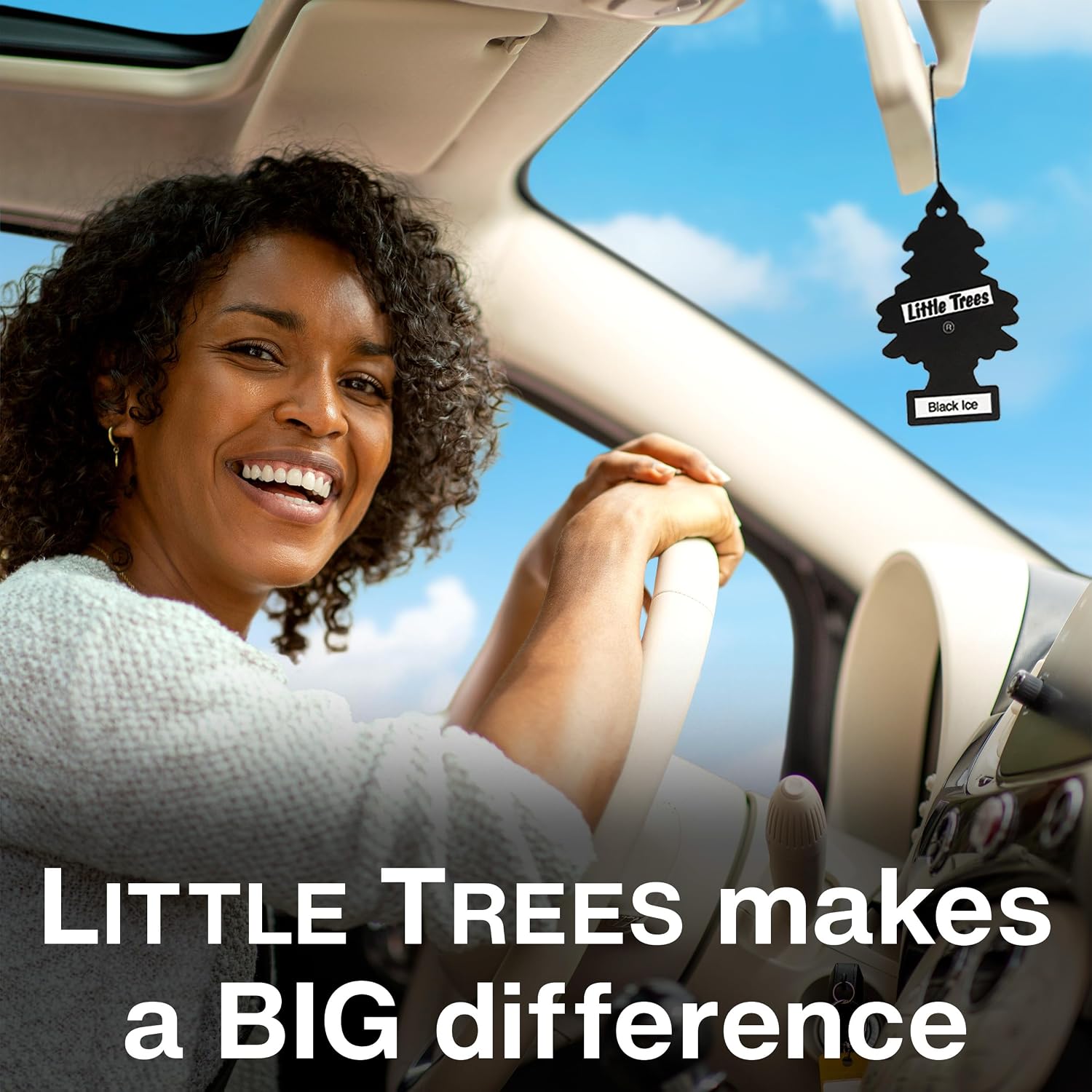 Transform Your Space with Little Trees Black Ice Air Freshener - Long Lasting Scent for Home and Auto - 24 Pack