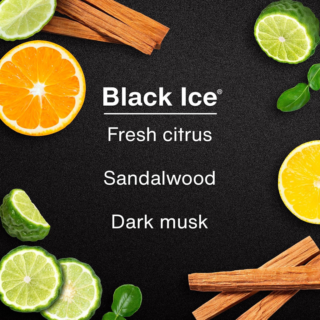 Transform Your Space with Little Trees Black Ice Air Freshener - Long Lasting Scent for Home and Auto - 24 Pack